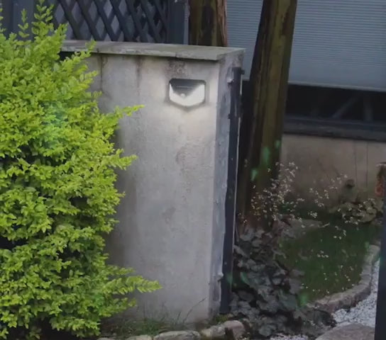 Încarcă clipul video: 